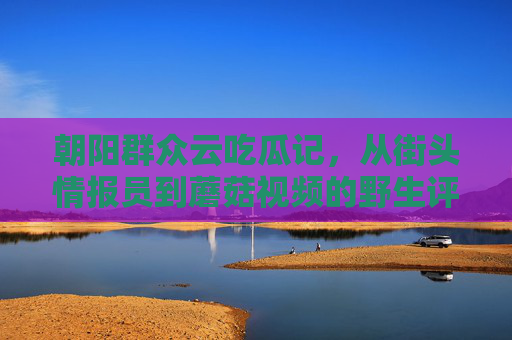 朝阳群众云吃瓜记，从街头情报员到蘑菇视频的野生评论员