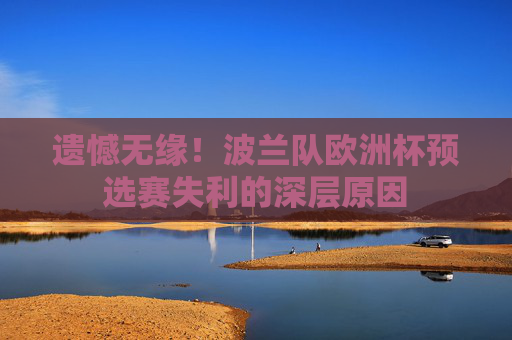 遗憾无缘！波兰队欧洲杯预选赛失利的深层原因