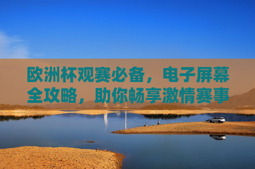 欧洲杯观赛必备，电子屏幕全攻略，助你畅享激情赛事