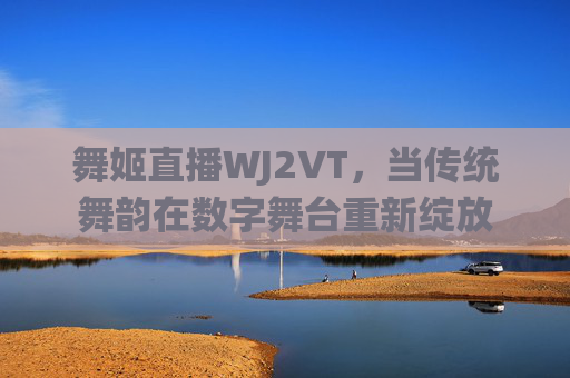舞姬直播WJ2VT，当传统舞韵在数字舞台重新绽放