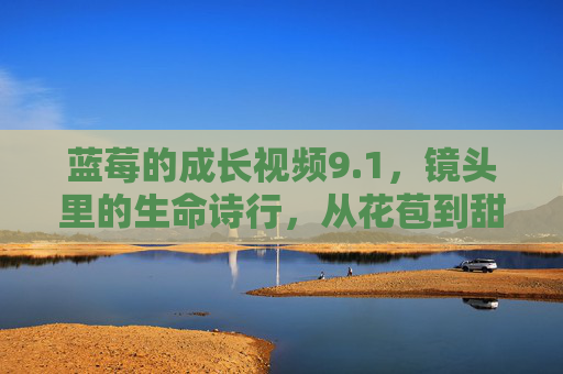 蓝莓的成长视频9.1，镜头里的生命诗行，从花苞到甜果的时光密语