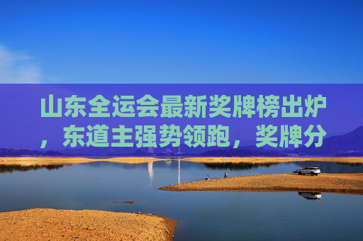 山东全运会最新奖牌榜出炉，东道主强势领跑，奖牌分布展现体育强省底蕴