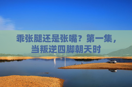 乖张腿还是张嘴？第一集，当叛逆四脚朝天时