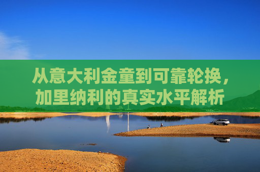从意大利金童到可靠轮换,加里纳利的真实水平解析 从意大利金童到可靠轮换,加里纳利的真实水平解析