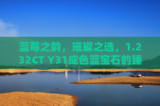 蓝莓之韵，璀璨之选，1.232CT Y31成色蓝宝石的臻藏解析