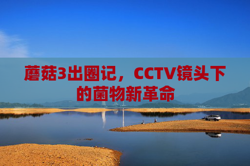 蘑菇3出圈记，CCTV镜头下的菌物新革命