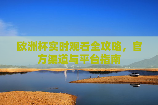 欧洲杯实时观看全攻略，官方渠道与平台指南