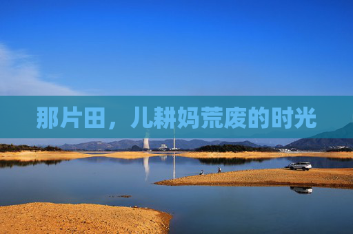 那片田，儿耕妈荒废的时光