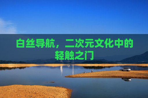 白丝导航，二次元文化中的轻触之门