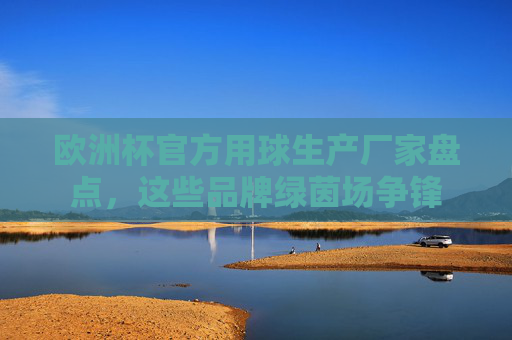 欧洲杯官方用球生产厂家盘点，这些品牌绿茵场争锋