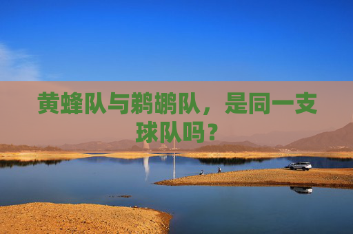 黄蜂队与鹈鹕队,是同一支球队吗? 黄蜂队与鹈鹕队,是同一支球队吗?