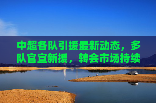 中超各队引援最新动态，多队官宣新援，转会市场持续升温