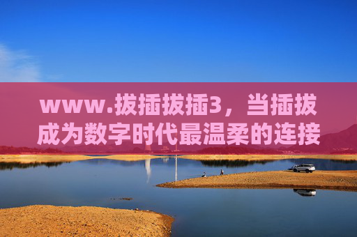www.拔插拔插3,当插拔成为数字时代最温柔的连接密码 www.拔插拔插3,当插拔成为数字时代最温柔的连接密码