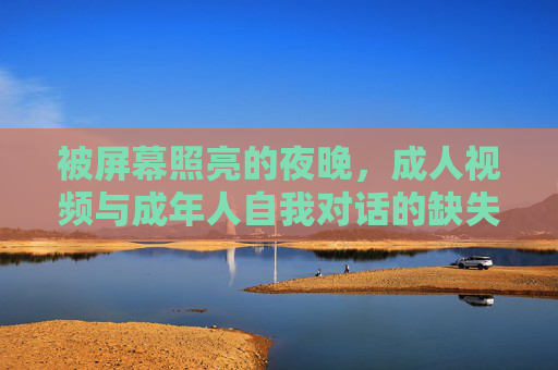 被屏幕照亮的夜晚,成人视频与成年人自我对话的缺失 被屏幕照亮的夜晚,成人视频与成年人自我对话的缺失