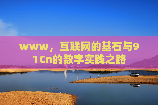 www,互联网的基石与91Cn的数字实践之路 www,互联网的基石与91Cn的数字实践之路