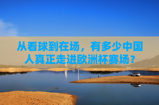 从看球到在场，有多少中国人真正走进欧洲杯赛场？
