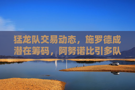 猛龙队交易动态，施罗德成潜在筹码，阿努诺比引多队追逐，目标围绕巴恩斯建队