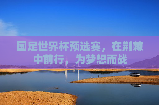 国足世界杯预选赛，在荆棘中前行，为梦想而战