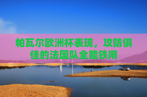 帕瓦尔欧洲杯表现，攻防俱佳的法国队全能铁闸