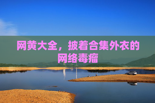 网黄大全，披着合集外衣的网络毒瘤