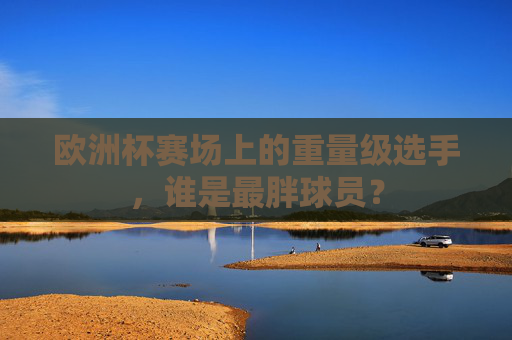 欧洲杯赛场上的重量级选手,谁是最胖球员? 欧洲杯赛场上的重量级选手,谁是最胖球员?