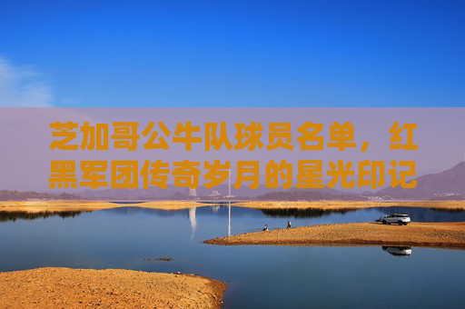 芝加哥公牛队球员名单,红黑军团传奇岁月的星光印记 芝加哥公牛队球员名单,红黑军团传奇岁月的星光印记