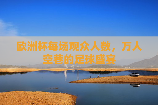 欧洲杯每场观众人数，万人空巷的足球盛宴