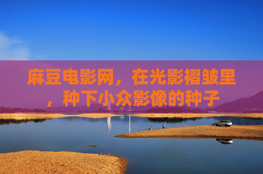 麻豆电影网，在光影褶皱里，种下小众影像的种子