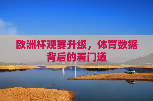 欧洲杯观赛升级,体育数据背后的看门道 欧洲杯观赛升级,体育数据背后的看门道