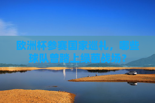 欧洲杯参赛国家巡礼，哪些球队曾踏上绿茵战场？