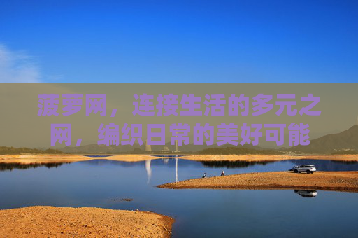 菠萝网，连接生活的多元之网，编织日常的美好可能