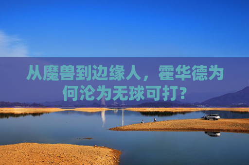 从魔兽到边缘人,霍华德为何沦为无球可打? 从魔兽到边缘人,霍华德为何沦为无球可打?