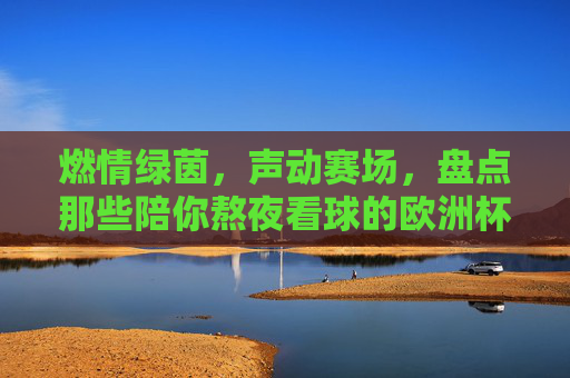 燃情绿茵,声动赛场,盘点那些陪你熬夜看球的欧洲杯游戏BGM 燃情绿茵,声动赛场,盘点那些陪你熬夜看球的欧洲杯游戏BGM
