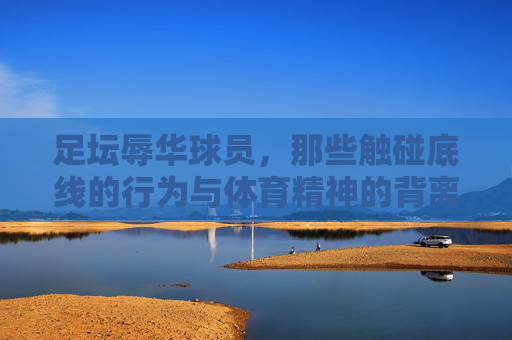 足坛辱华球员，那些触碰底线的行为与体育精神的背离
