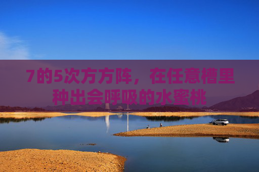 7的5次方方阵,在任意槽里种出会呼吸的水蜜桃 7的5次方方阵,在任意槽里种出会呼吸的水蜜桃