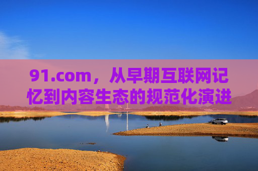 91.com，从早期互联网记忆到内容生态的规范化演进