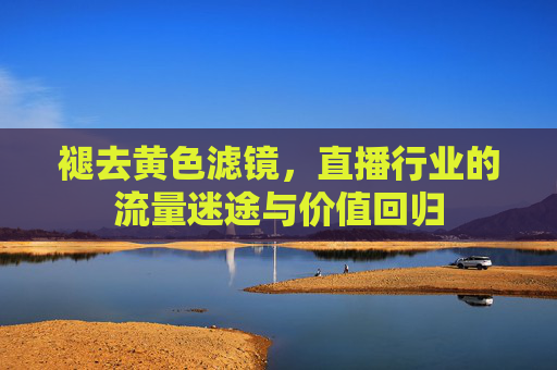 褪去黄色滤镜，直播行业的流量迷途与价值回归