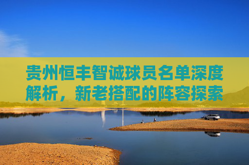 贵州恒丰智诚球员名单深度解析，新老搭配的阵容探索与未来展望