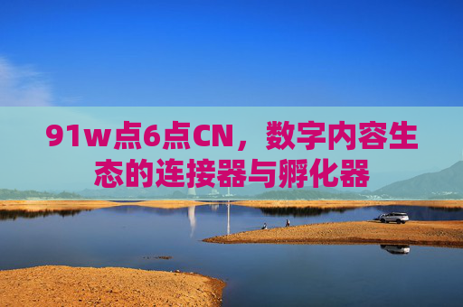 91w点6点CN,数字内容生态的连接器与孵化器 91w点6点CN,数字内容生态的连接器与孵化器
