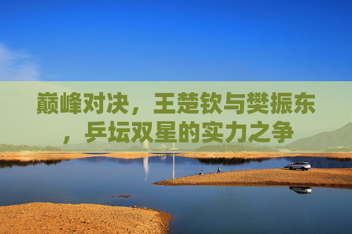 巅峰对决，王楚钦与樊振东，乒坛双星的实力之争