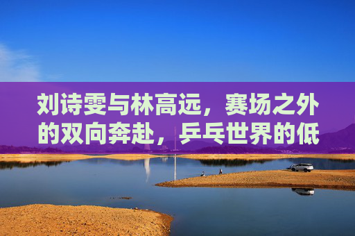 刘诗雯与林高远，赛场之外的双向奔赴，乒乓世界的低调幸福