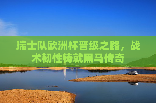 瑞士队欧洲杯晋级之路,战术韧性铸就黑马传奇 瑞士队欧洲杯晋级之路,战术韧性铸就黑马传奇