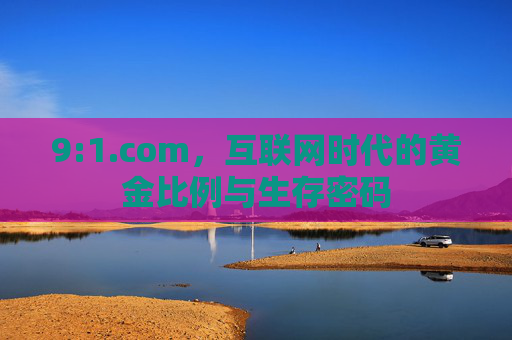9:1.com,互联网时代的黄金比例与生存密码 9:1.com,互联网时代的黄金比例与生存密码