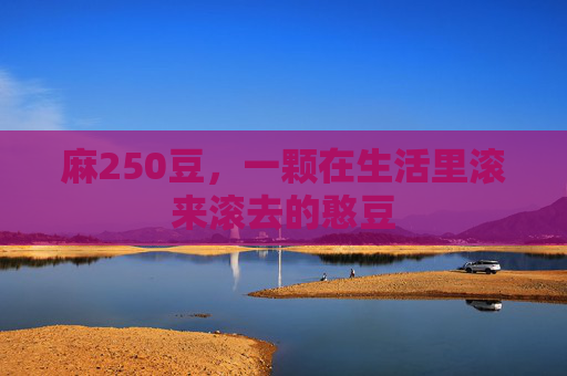 麻250豆，一颗在生活里滚来滚去的憨豆