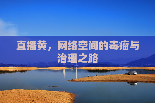 直播黄,网络空间的毒瘤与治理之路 直播黄,网络空间的毒瘤与治理之路