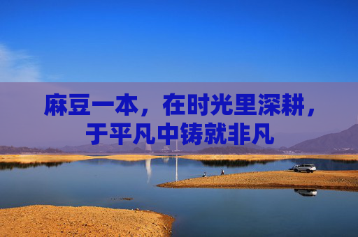麻豆一本，在时光里深耕，于平凡中铸就非凡