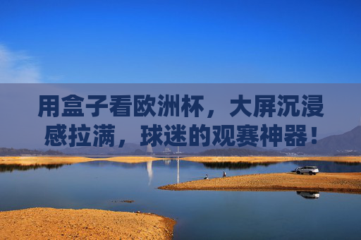 用盒子看欧洲杯，大屏沉浸感拉满，球迷的观赛神器！