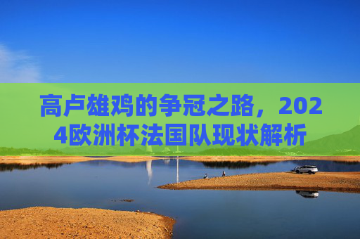高卢雄鸡的争冠之路,2024欧洲杯法国队现状解析 高卢雄鸡的争冠之路,2024欧洲杯法国队现状解析