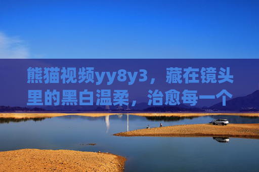 熊猫视频yy8y3,藏在镜头里的黑白温柔,治愈每一个疲惫日常 熊猫视频yy8y3,藏在镜头里的黑白温柔,治愈每一个疲惫日常
