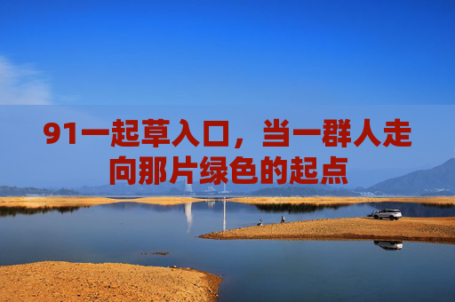 91一起草入口,当一群人走向那片绿色的起点 91一起草入口,当一群人走向那片绿色的起点